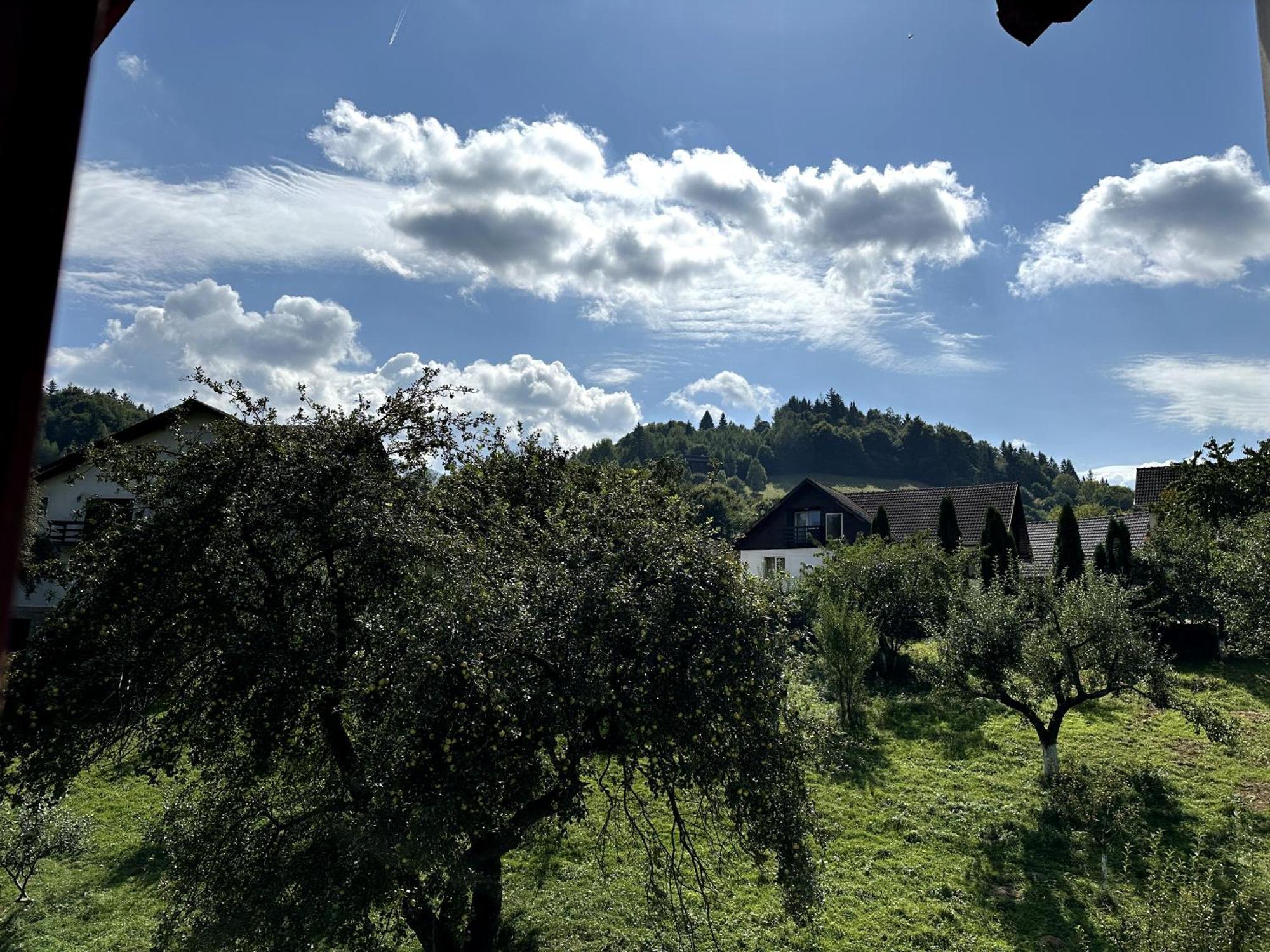 Pensiunea Bianca Bran  Exterior photo